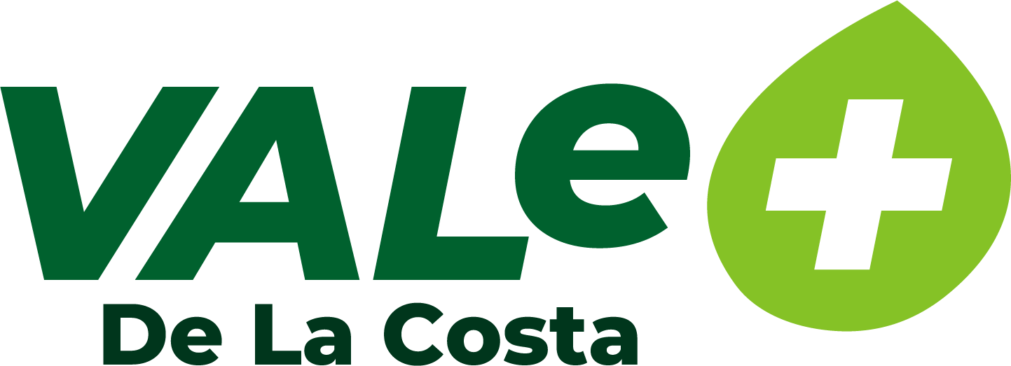 Programa Vale+